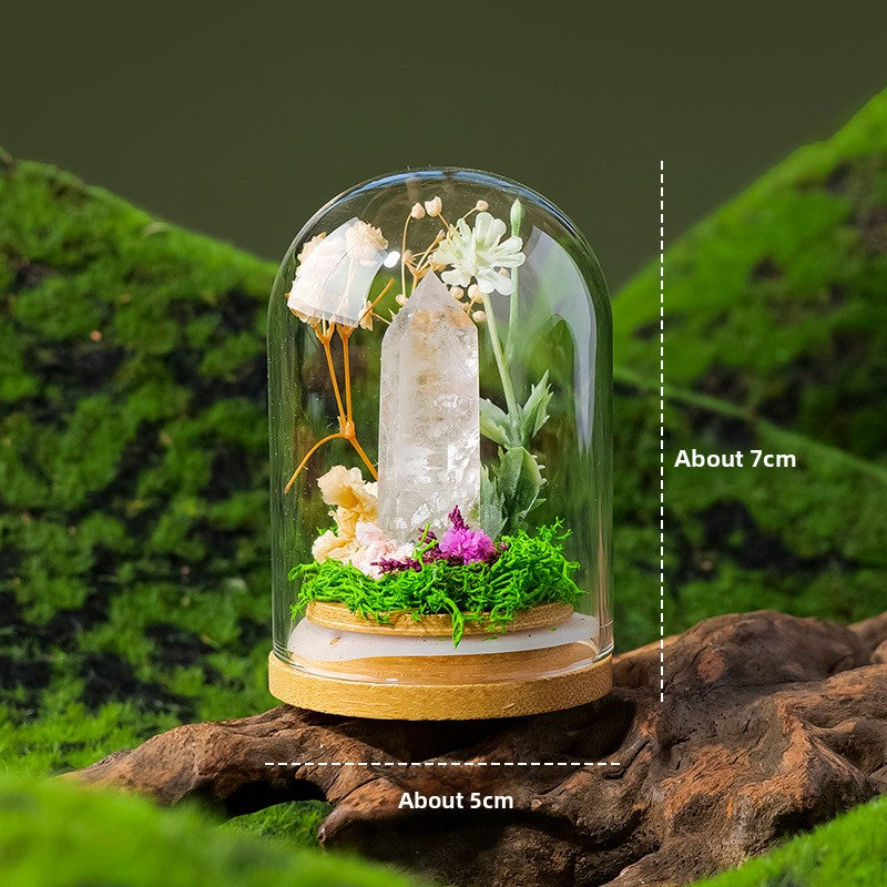 Crystal Dome — a raw crystal standing in preserved moss on a turned wood base, under a glass dome