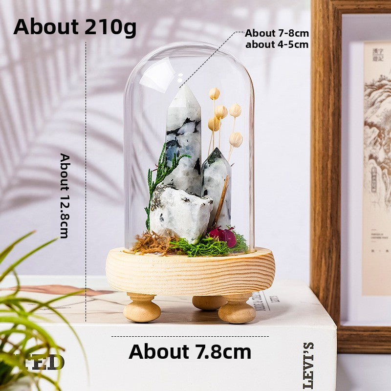 Crystal Dome — a raw crystal standing in preserved moss on a turned wood base, under a glass dome