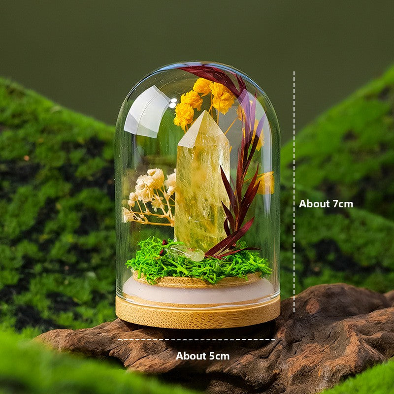 Crystal Dome — a raw crystal standing in preserved moss on a turned wood base, under a glass dome