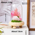 Crystal Dome — a raw crystal standing in preserved moss on a turned wood base, under a glass dome