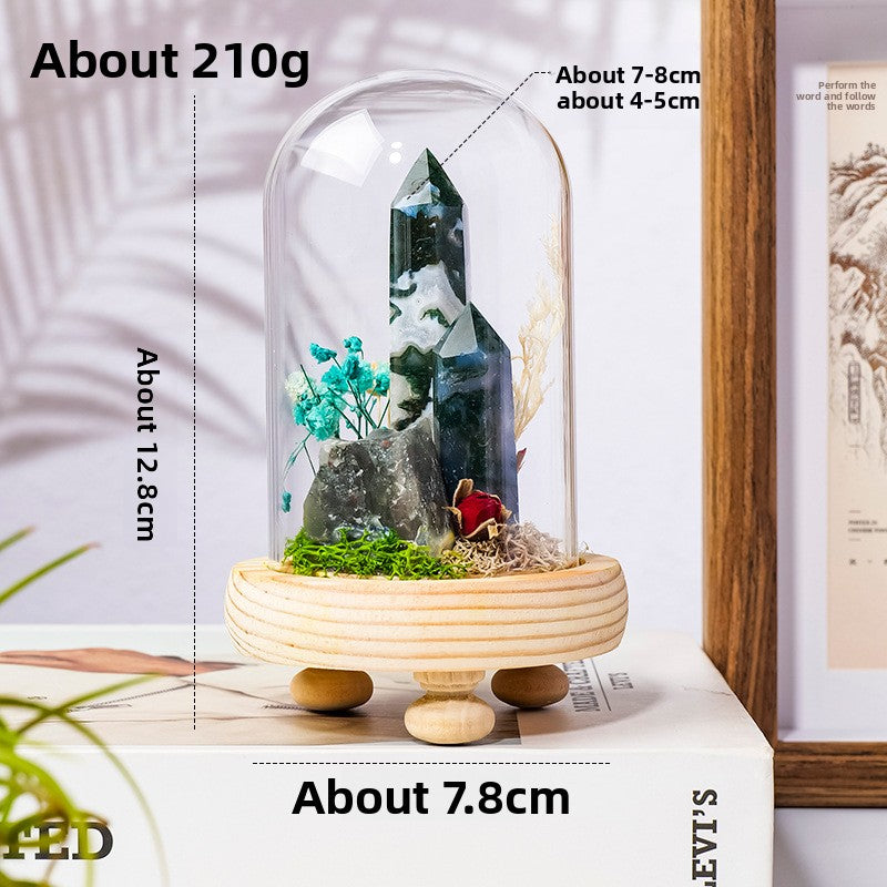 Crystal Dome — a raw crystal standing in preserved moss on a turned wood base, under a glass dome