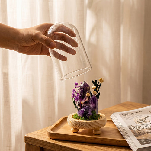 Crystal Dome — a raw crystal standing in preserved moss on a turned wood base, under a glass dome